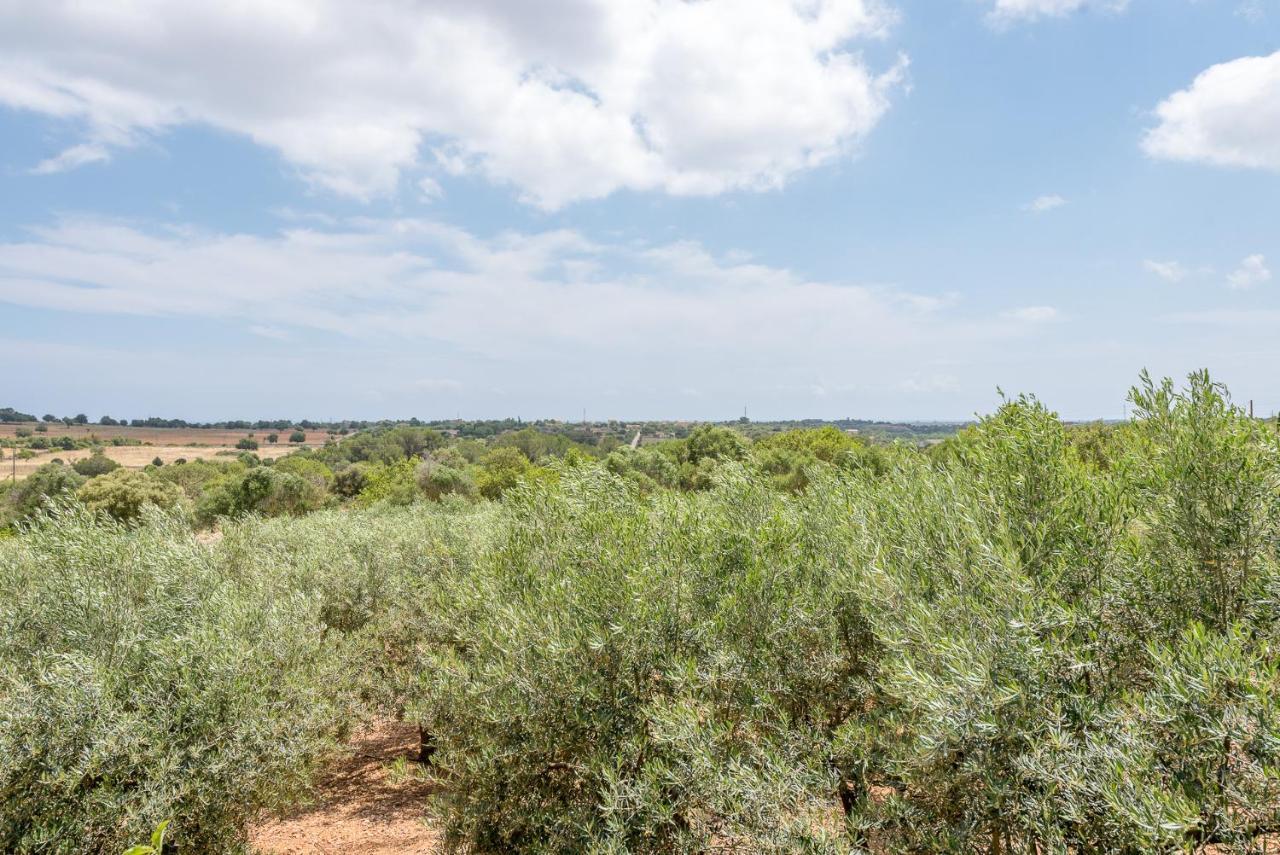 Ses Oliveres Son Carrio  Exteriér fotografie